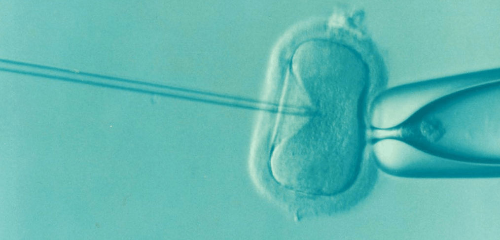 Increasing IVF Success Rates